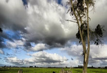 印尼媒体预测印尼首发：名归化球员先发，费迪南出战.