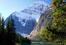 助力奥体中心青少年训练中心 苏炳添渴望出战奥运广州日报.