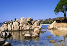 联赛基本无缘，欧冠惨遭淘汰，杯赛耻辱出局，神奇药厂魔力不再！.